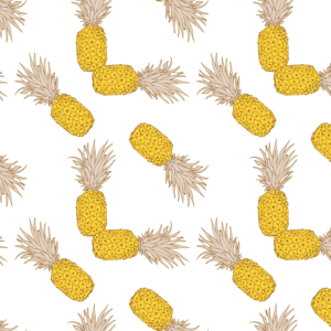 Ananas Sublime by Nanjala Design