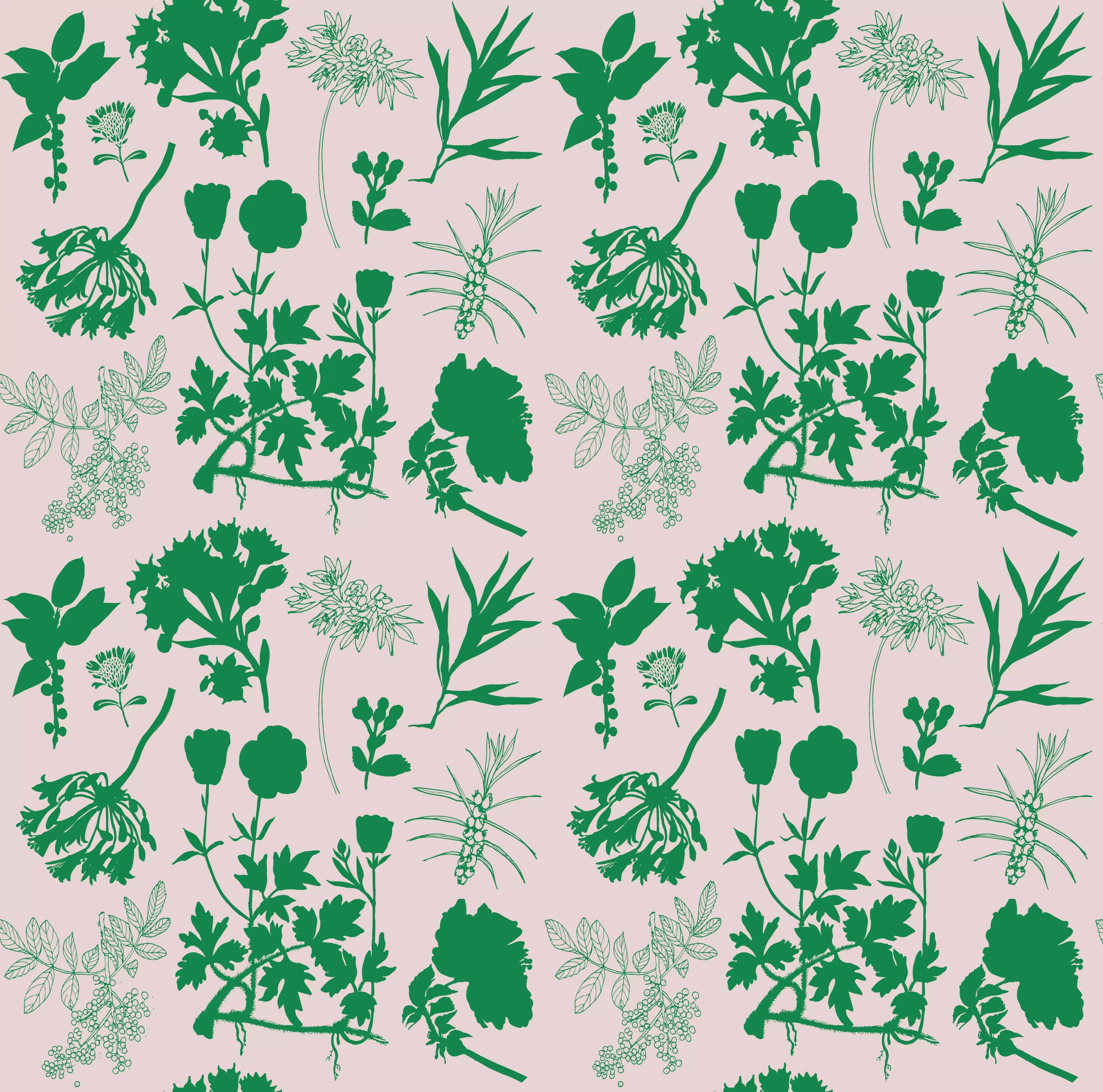 Silhouette_Botanista 2005 Kijani