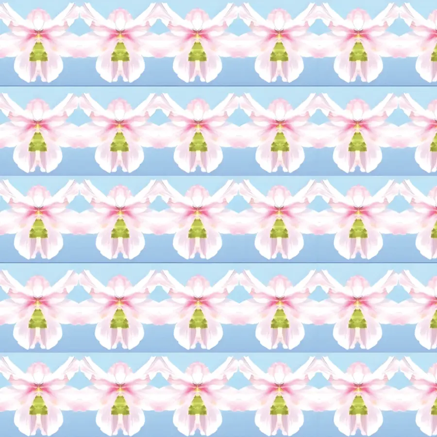 Angel by The Language of Flowers for UndaMeta