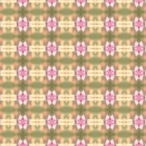 Stars by The Language of Flowers for UndaMeta