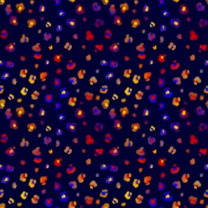 Primary Color Leopard