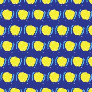 Acacia 1 © Shirleen Mukami 2026 for UndaMeta