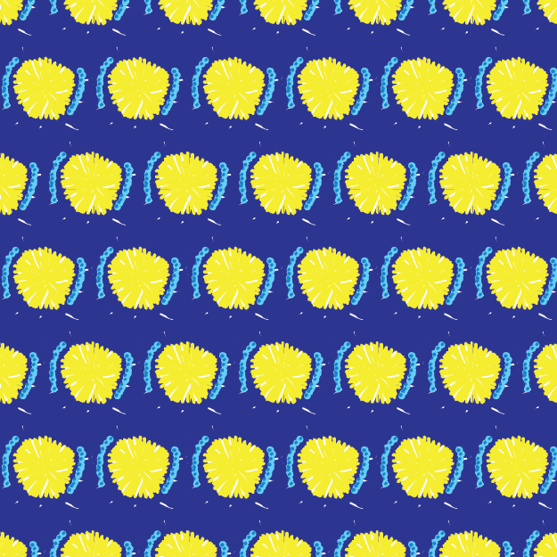 Acacia 1 © Shirleen Mukami 2026 for UndaMeta