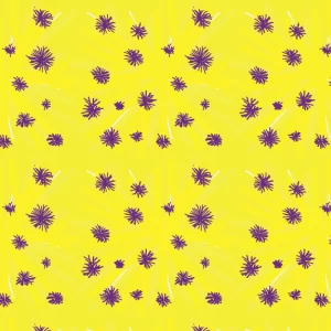 Acacia 2 © Shirleen Mukami 2026 for UndaMeta