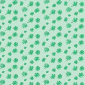 Acacia 3 © Shirleen Mukami 2026 for UndaMeta