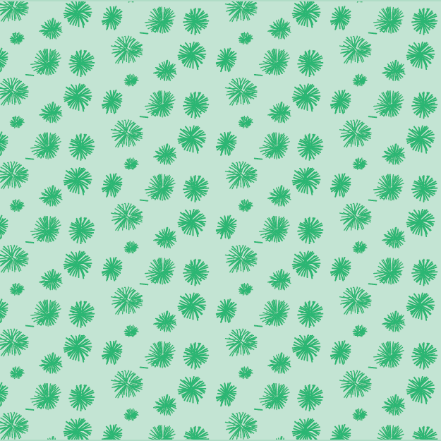 Acacia 3 © Shirleen Mukami 2026 for UndaMeta