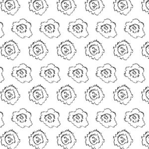 Carnations © Shirleen Mukami 2026 for UndaMeta