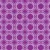 Orchid 002